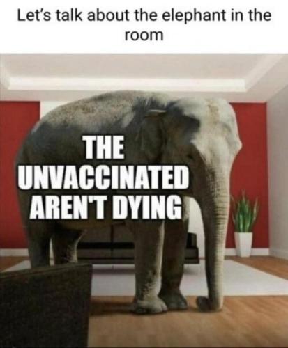 FB_IMG_1747557739893