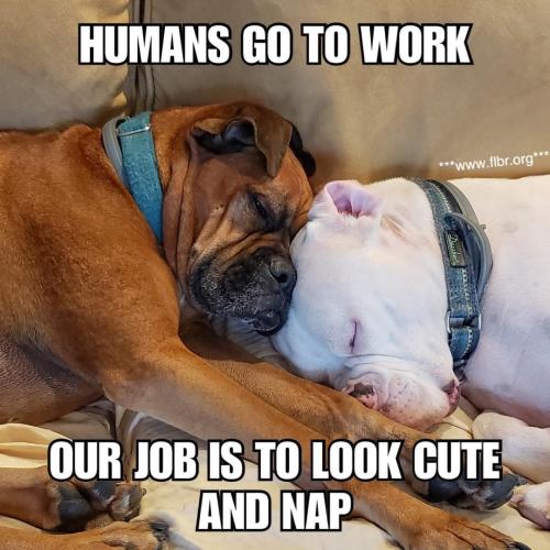 FB_IMG_1748043169236