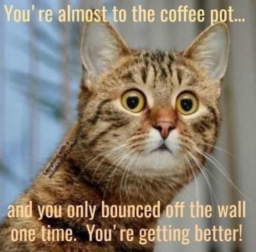 9c3ef19cc7360bd7e5d99010c5913586