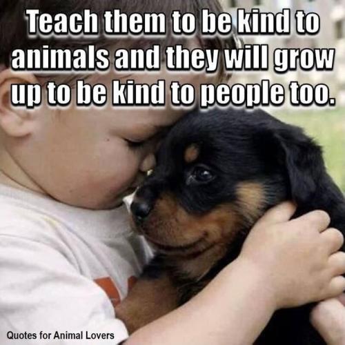 0dfd464b040b381f20942f83625a1944