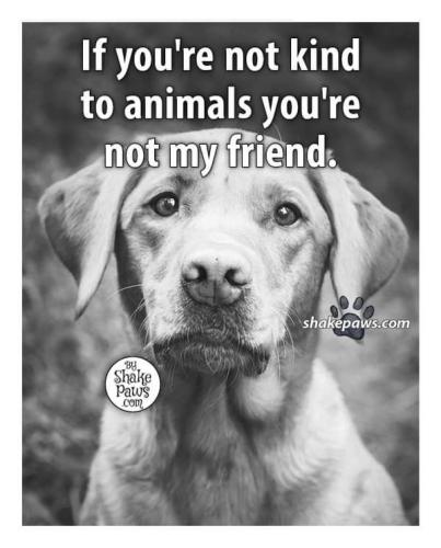 da610dcdd3cce2a2926d6ee95c1304ac