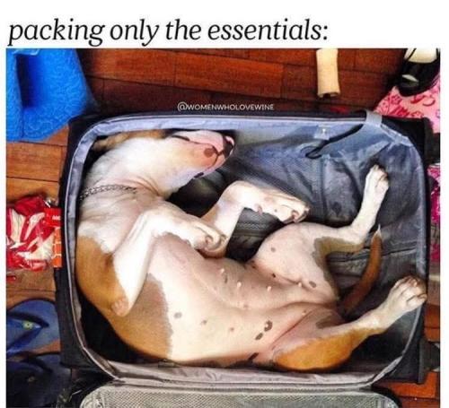 FB_IMG_1746142828616