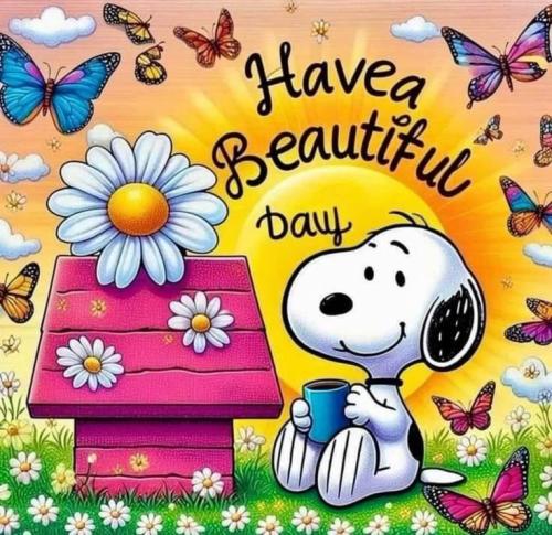 efcb666486da59a93f23f55dd3394739