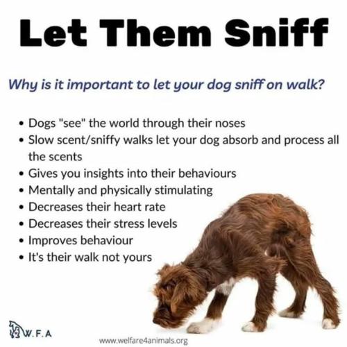 989b0c36c3fa1c2a7a63ccb02fdd3cca