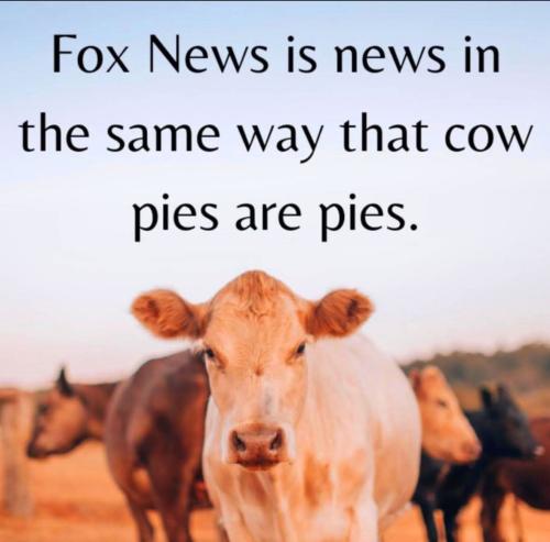 FB_IMG_1748640387080