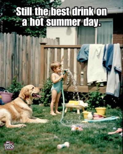 FB_IMG_1747247882110