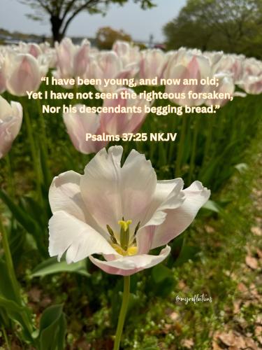 494378511_699965472974520_4578329639152821809_n