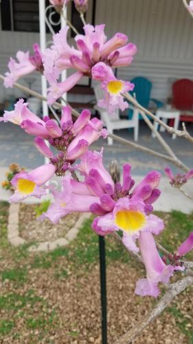 3bf51f9f-0ad8-4c68-9fb1-91e28060b930