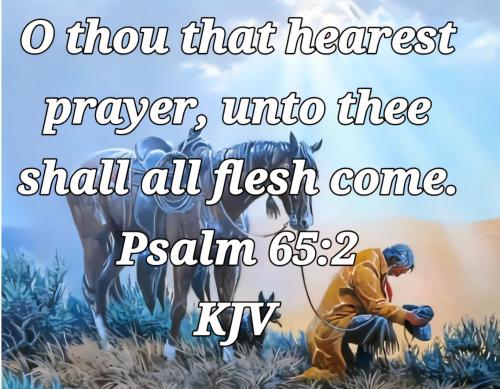 c8108849-f194-4e04-a4d4-35b0e644e9ce