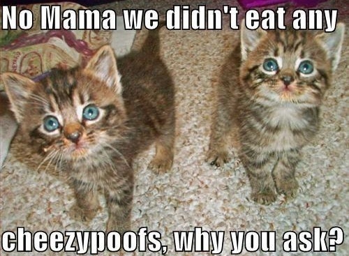 693cff80e7c7a865097bf068666e0000