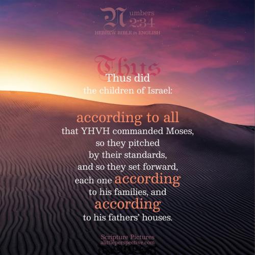 num-2-34-HBE-unsplash