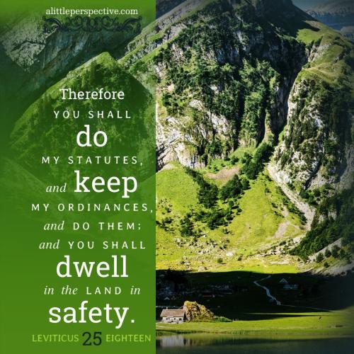 lev-25-18-JPS-unsplash