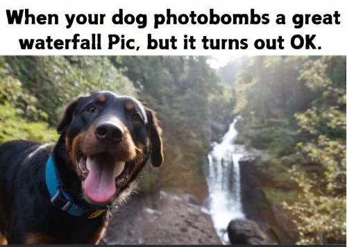 FB_IMG_1746638212911