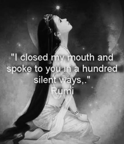 495354427_2935945123252162_4589356474125162465_n