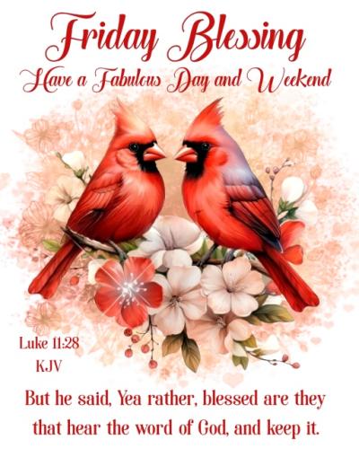 500362824_1001476908866219_9180647023932856929_n