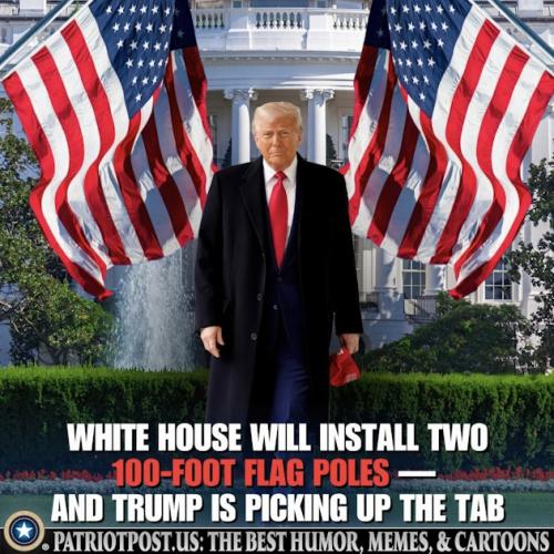 01JT4211HJNCAX1PE20CVQWPB6