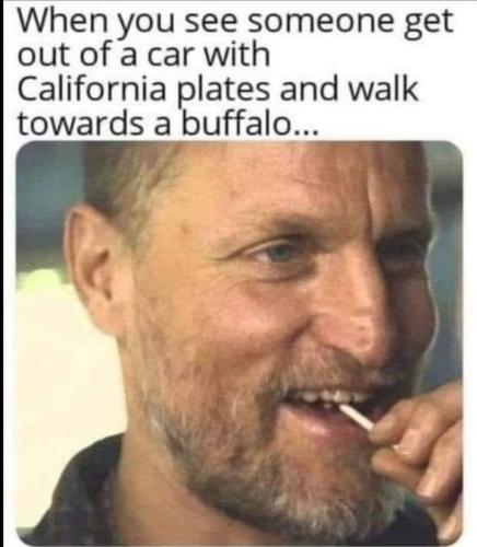 Screenshot_20250507_175545_Instagram