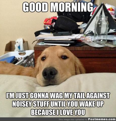 15621178344_0067864c80_z_1