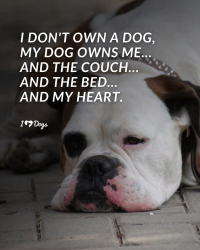 FB_IMG_1747162610863