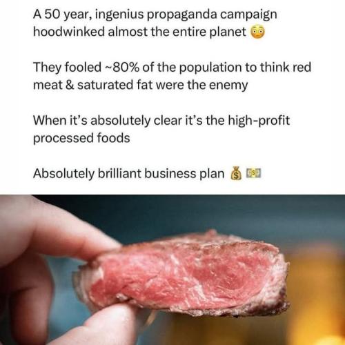 479546740_122111611442718379_7081778480314769466_n