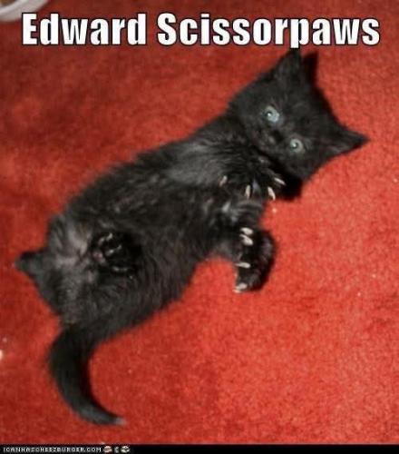 FB_IMG_1746737330463