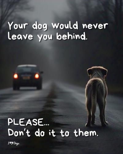 FB_IMG_1742990453667