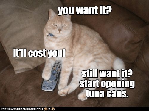 7819861704036b805b63bde8bee23552