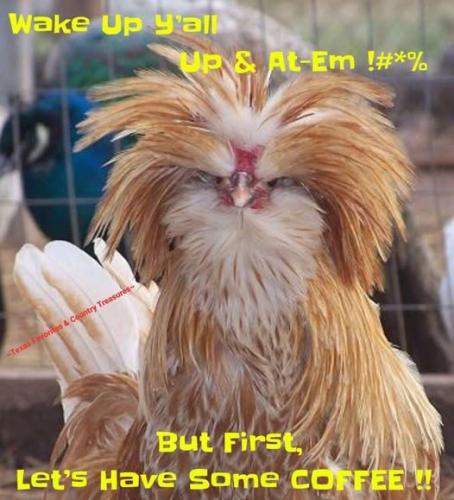 494474234_1096914489144712_396863470720424397_n