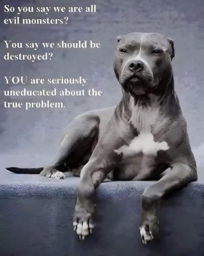 e01227ae06f1d0fdcbed0bd130775907