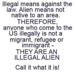 illegal alien