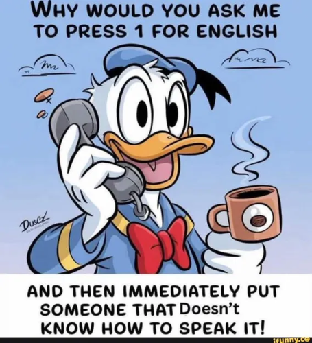 image_2025-05-14_061447955