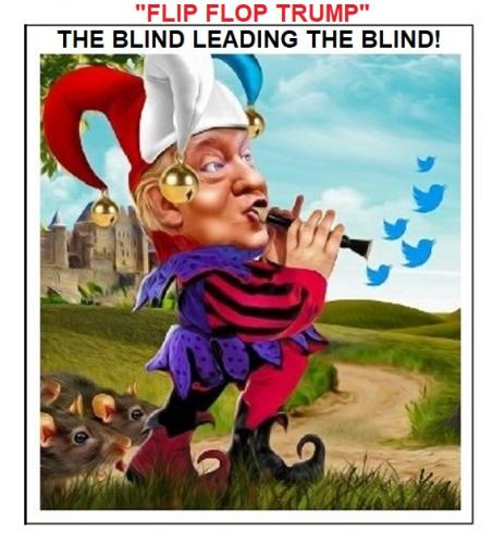 download (7) - Copy - Copy