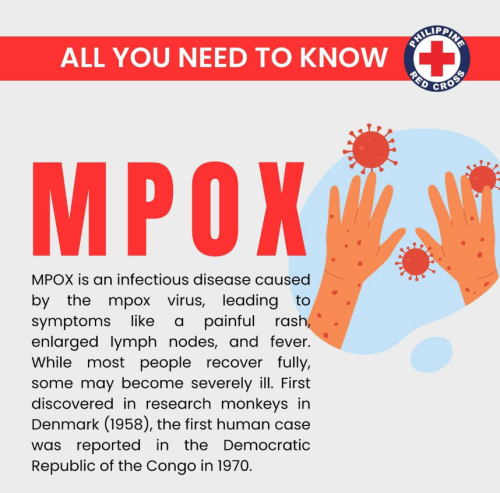 Screenshot 2025-05-30 130422