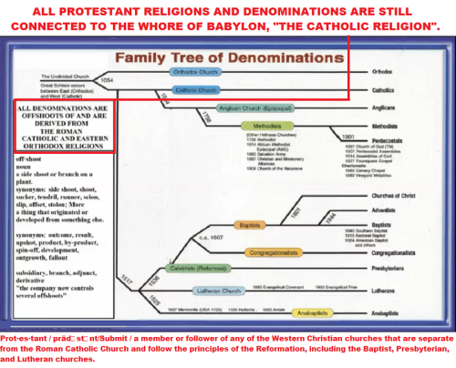 18318199_1273286249455328_1136697510_o - Copy - Copy - Copy