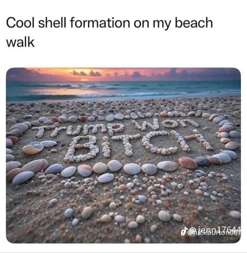 IMG_20250519_101901_139