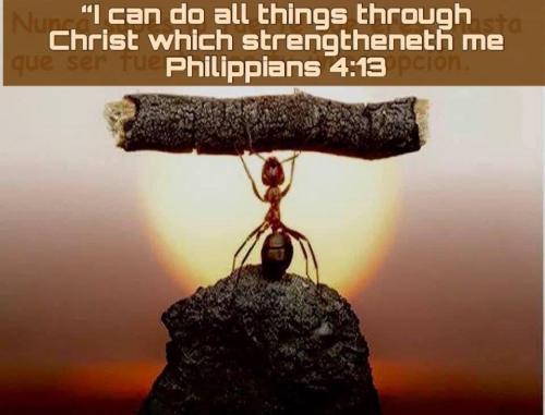 9282afa4-5689-4f57-924f-cdc234ae90ac