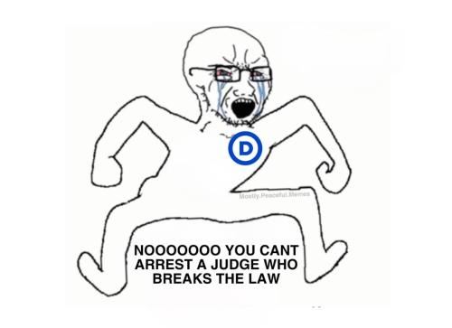 416bcc3f-2ffd-4b22-a8ec-5e0fcc4a617a_1132x822