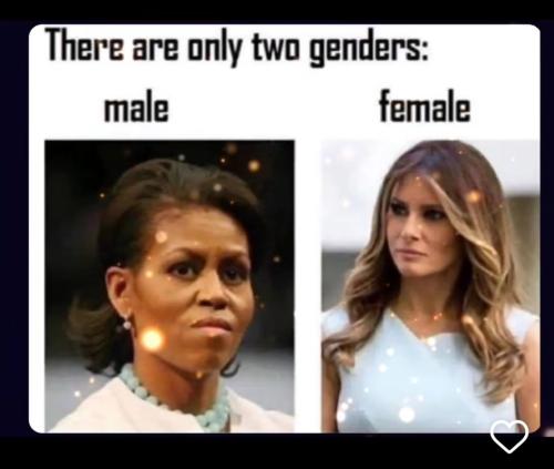 Screenshot_20250524_203354_Instagram