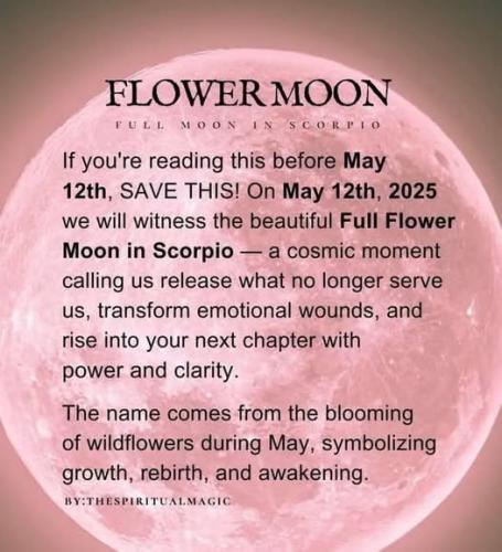 ,          ,  0424775766_746362