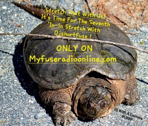 Screenshot_20250526_144630_Gallery