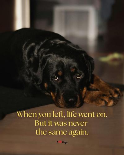 FB_IMG_1747038991085