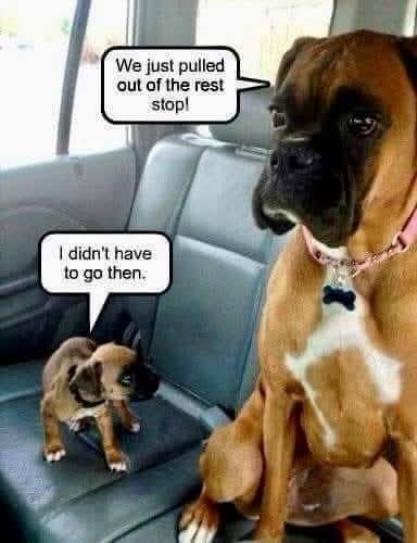 FB_IMG_1748047402897