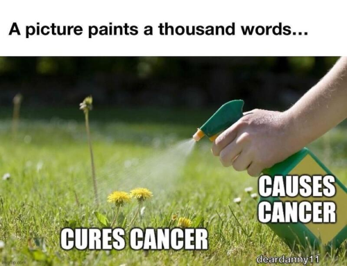 image_2849424F-2DC3-4149-B057-58E84571EAB8