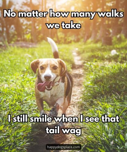 FB_IMG_1748041136020