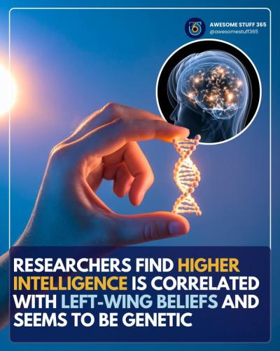 FB_IMG_1748270277017