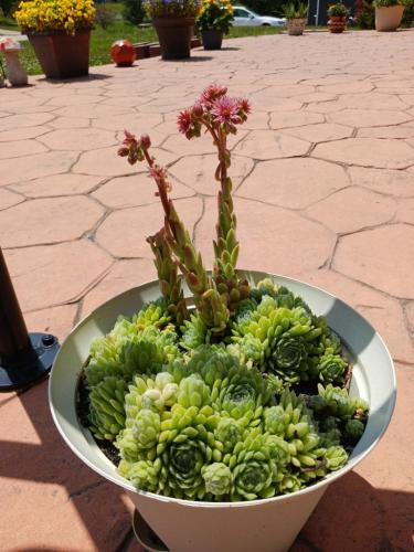 467bb74f-2d13-435e-901c-c451061c48d3