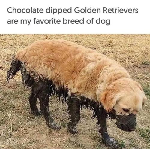 FB_IMG_1747777170348