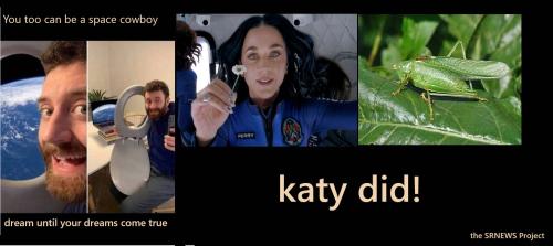 katyDid