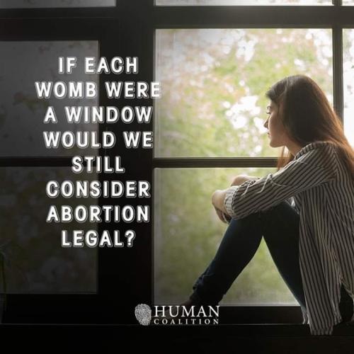 FB_IMG_1557094168156
