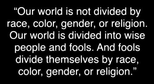 IMG_20250505_124618_911